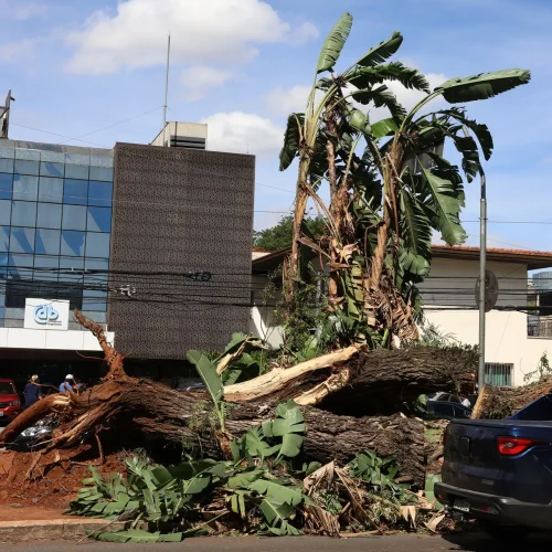 Foto: Rovena Rosa/Agência Brasil