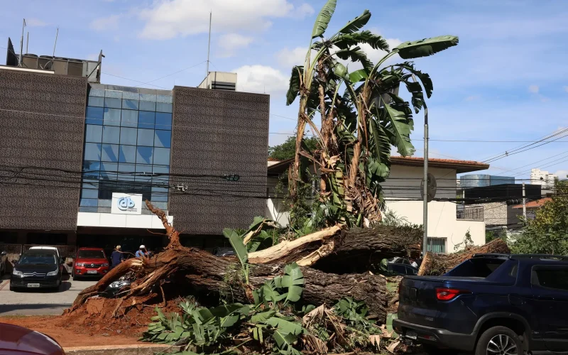Foto: Rovena Rosa/Agência Brasil