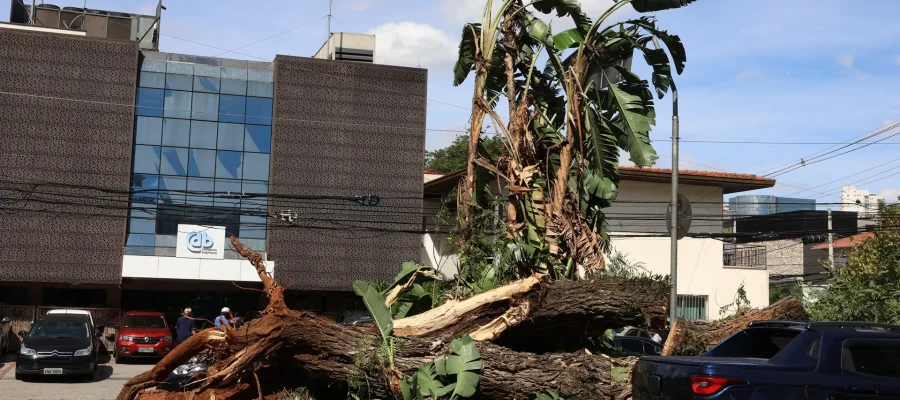 Foto: Rovena Rosa/Agência Brasil