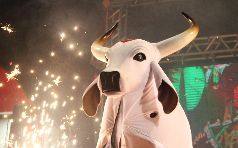 Boi Bumbá Garantido se prepara para lançamento oficial do álbum 2025