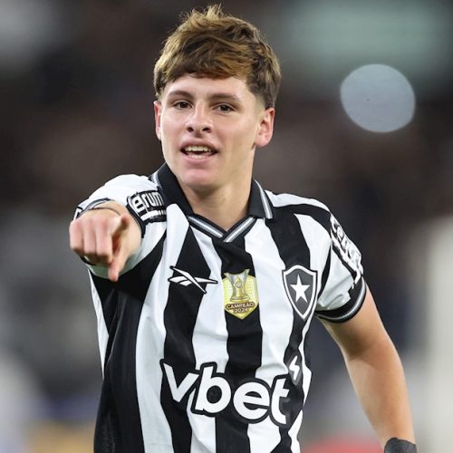 Foto: Reprodução/ Botafogo