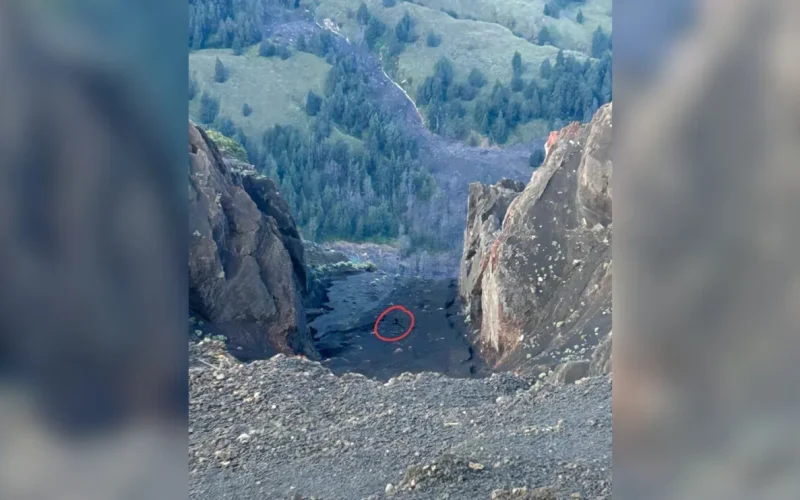 Foto: Reprodução/Internet