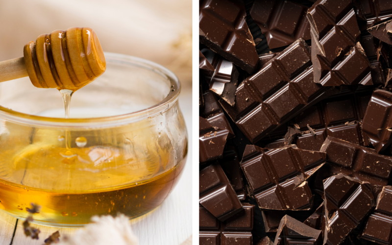 Foto: Freepik/Montagem do MD News