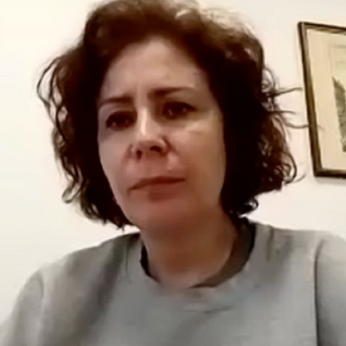 Reprodução / Youtube / Câmara dos Deputados
