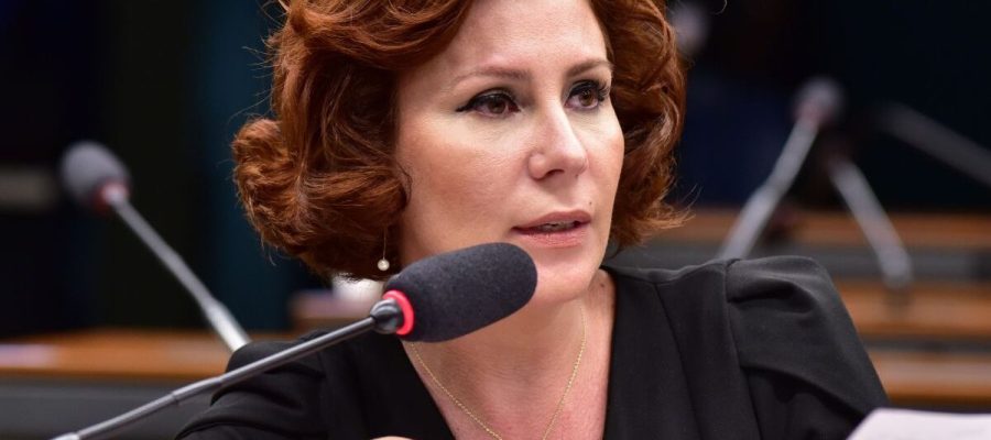 Foto: Facebook @Carla Zambelli