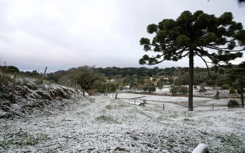 Foto: Luca Erbes/Futura Press/Estadão Conteúdo