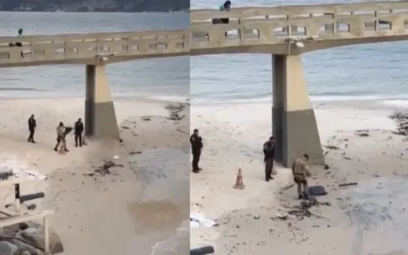 Foto: Reprodução/Internet