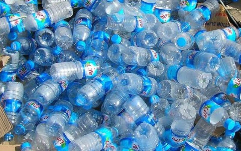 Foto: Reprodução/Usp