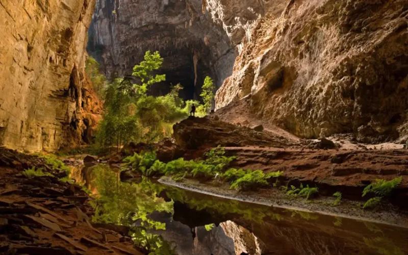 Foto: ICMBIO/Divulgação
