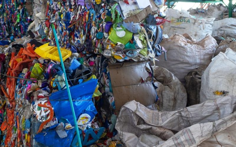 Fernando Donasci / MMA