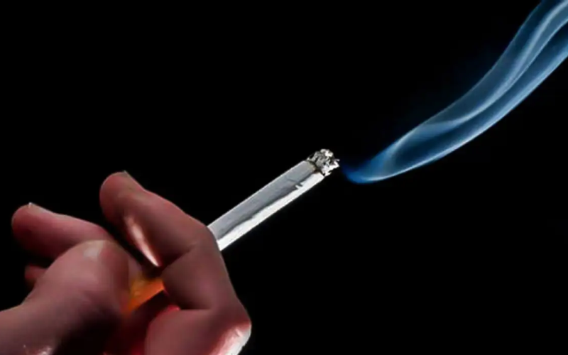 Divulgação/Banco Mundial/ONU