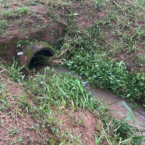 Foto: Reprodução/Guto Moreira/EPTV